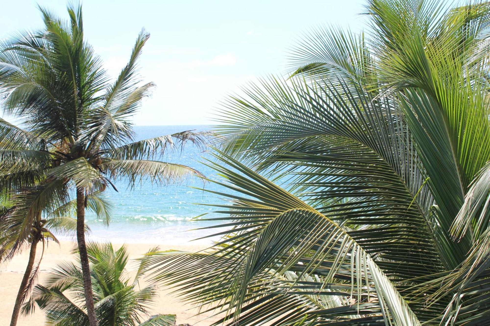Prana Beach Hotel Ex Guli Hikkaduwa Buitenkant foto